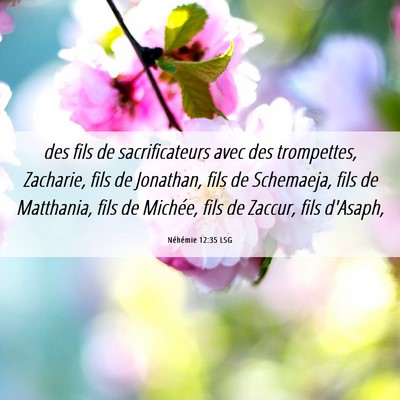 Picture 06 - Néhémie 12:35 LSG - des fils de sacrificateurs avec des trompettes, - Bible Verse Picture
