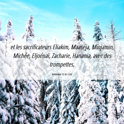 Picture 06 - Néhémie 12:41 LSG - et les sacrificateurs Eliakim, Maaséja, - Bible Verse Picture