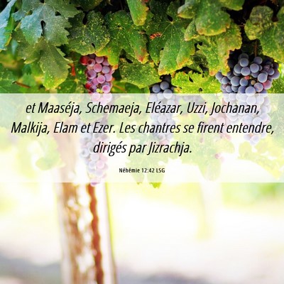 Picture 06 - Néhémie 12:42 LSG - et Maaséja, Schemaeja, Eléazar, Uzzi, Jochanan, - Bible Verse Picture