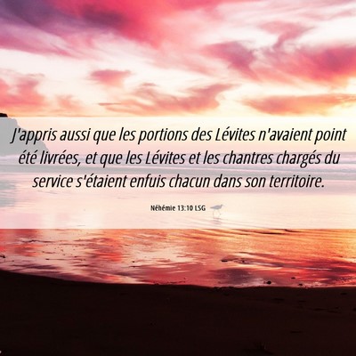 Picture 06 - Néhémie 13:10 LSG - J'appris aussi que les portions des Lévites - Bible Verse Picture