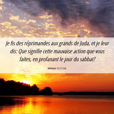 Picture 06 - Néhémie 13:17 LSG - Je fis des réprimandes aux grands de Juda, et je - Bible Verse Picture