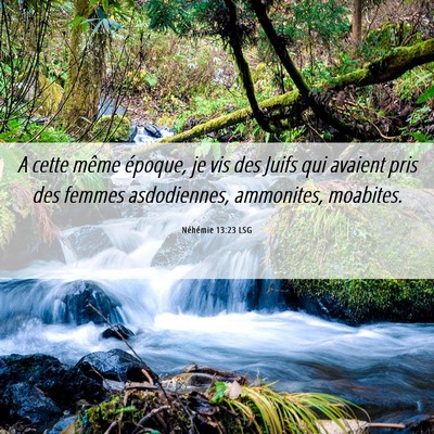 Picture 06 - Néhémie 13:23 LSG - A cette même époque, je vis des Juifs qui - Bible Verse Picture