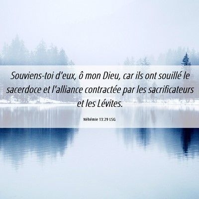 Picture 06 - Néhémie 13:29 LSG - Souviens-toi d'eux, ô mon Dieu, car ils ont - Bible Verse Picture