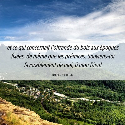 Picture 06 - Néhémie 13:31 LSG - et ce qui concernait l'offrande du bois aux - Bible Verse Picture