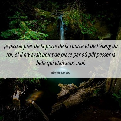 Picture 06 - Néhémie 2:14 LSG - Je passai près de la porte de la source et de - Bible Verse Picture