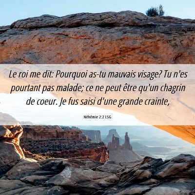 Picture 06 - Néhémie 2:2 LSG - Le roi me dit: Pourquoi as-tu mauvais visage? Tu - Bible Verse Picture