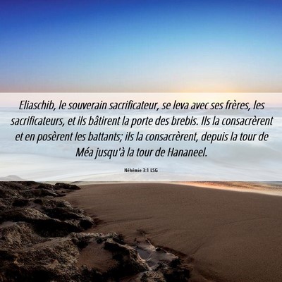 Picture 06 - Néhémie 3:1 LSG - Eliaschib, le souverain sacrificateur, se leva - Bible Verse Picture