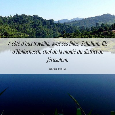 Picture 06 - Néhémie 3:12 LSG - A côté d'eux travailla, avec ses filles, - Bible Verse Picture