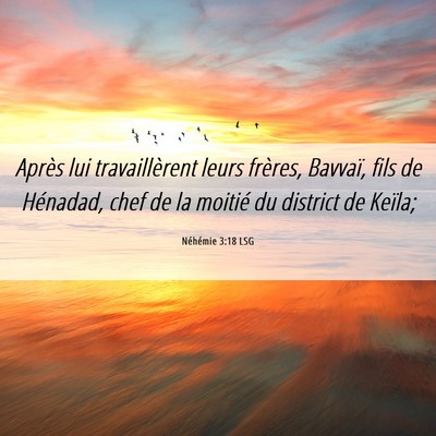 Picture 06 - Néhémie 3:18 LSG - Après lui travaillèrent leurs frères, Bavvaï, - Bible Verse Picture