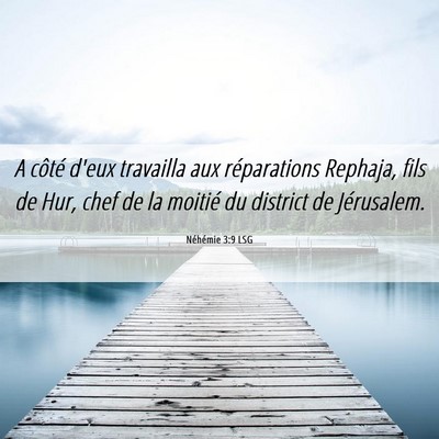 Picture 06 - Néhémie 3:9 LSG - A côté d'eux travailla aux réparations - Bible Verse Picture