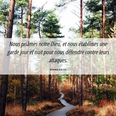 Picture 06 - Néhémie 4:9 LSG - Nous priâmes notre Dieu, et nous établîmes une - Bible Verse Picture