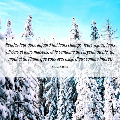 Picture 06 - Néhémie 5:11 LSG - Rendez-leur donc aujourd'hui leurs champs, leurs - Bible Verse Picture