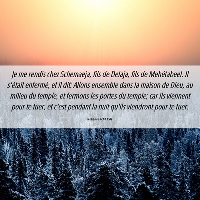 Picture 06 - Néhémie 6:10 LSG - Je me rendis chez Schemaeja, fils de Delaja, fils - Bible Verse Picture