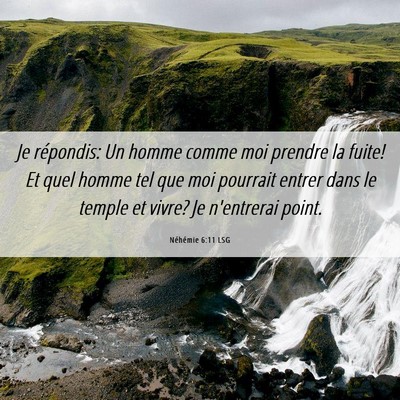 Picture 06 - Néhémie 6:11 LSG - Je répondis: Un homme comme moi prendre la - Bible Verse Picture