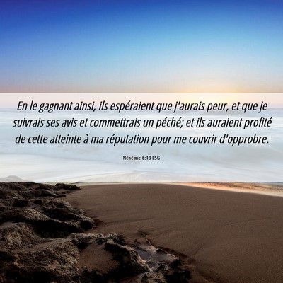 Picture 06 - Néhémie 6:13 LSG - En le gagnant ainsi, ils espéraient que j'aurais - Bible Verse Picture