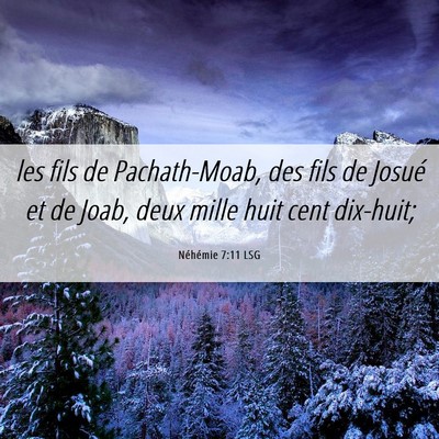 Picture 06 - Néhémie 7:11 LSG - les fils de Pachath-Moab, des fils de Josué et - Bible Verse Picture