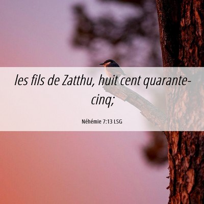Picture 06 - Néhémie 7:13 LSG - les fils de Zatthu, huit cent - Bible Verse Picture