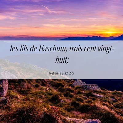 Picture 06 - Néhémie 7:22 LSG - les fils de Haschum, trois cent - Bible Verse Picture