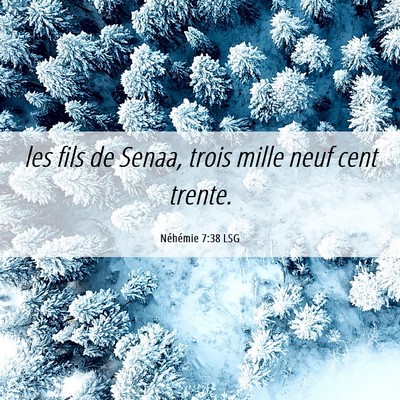 Picture 06 - Néhémie 7:38 LSG - les fils de Senaa, trois mille neuf cent - Bible Verse Picture