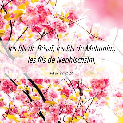 Picture 06 - Néhémie 7:52 LSG - les fils de Bésaï, les fils de Mehunim, les - Bible Verse Picture