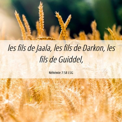 Picture 06 - Néhémie 7:58 LSG - les fils de Jaala, les fils de Darkon, les fils - Bible Verse Picture