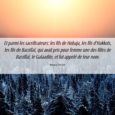Picture 06 - Néhémie 7:63 LSG - Et parmi les sacrificateurs: les fils de Hobaja, - Bible Verse Picture