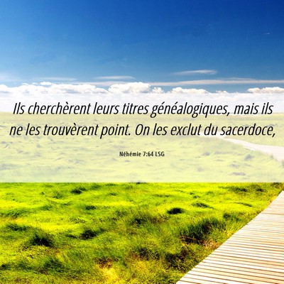 Picture 06 - Néhémie 7:64 LSG - Ils cherchèrent leurs titres généalogiques, - Bible Verse Picture