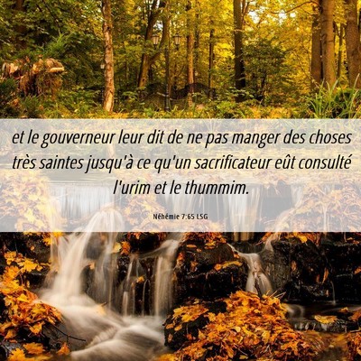 Picture 06 - Néhémie 7:65 LSG - et le gouverneur leur dit de ne pas manger des - Bible Verse Picture