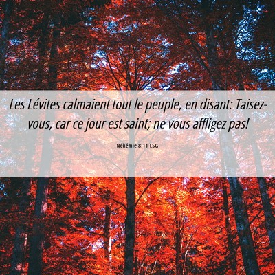 Picture 06 - Néhémie 8:11 LSG - Les Lévites calmaient tout le peuple, en disant: - Bible Verse Picture