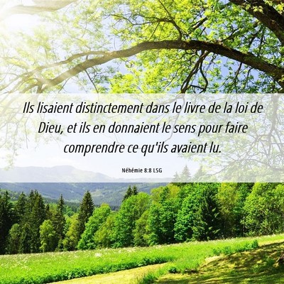 Picture 06 - Néhémie 8:8 LSG - Ils lisaient distinctement dans le livre de la - Bible Verse Picture