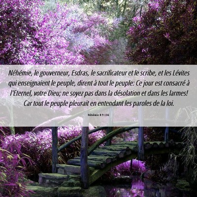 Picture 06 - Néhémie 8:9 LSG - Néhémie, le gouverneur, Esdras, le - Bible Verse Picture