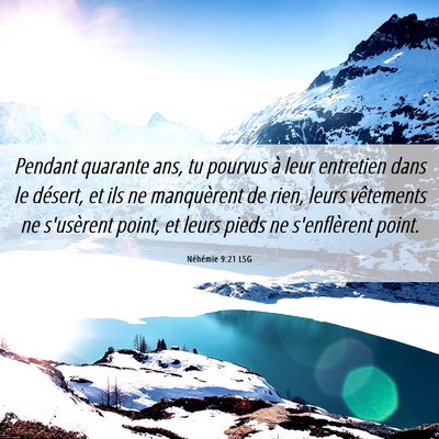 Picture 06 - Néhémie 9:21 LSG - Pendant quarante ans, tu pourvus à leur - Bible Verse Picture