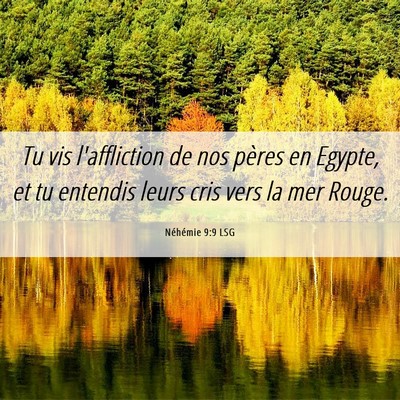 Picture 06 - Néhémie 9:9 LSG - Tu vis l'affliction de nos pères en Egypte, et - Bible Verse Picture