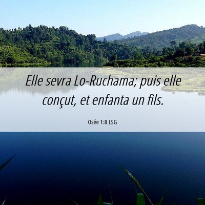 Picture 06 - Osée 1:8 LSG - Elle sevra Lo-Ruchama; puis elle conçut, et - Bible Verse Picture