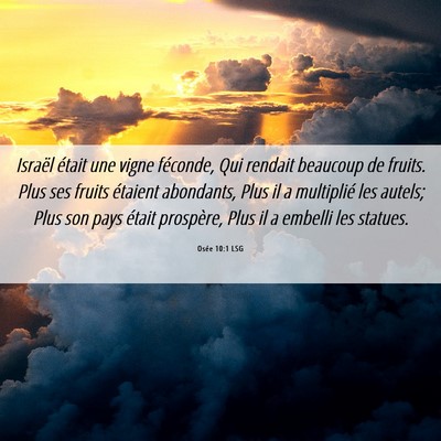 Picture 06 - Osée 10:1 LSG - Israël était une vigne féconde, Qui rendait - Bible Verse Picture