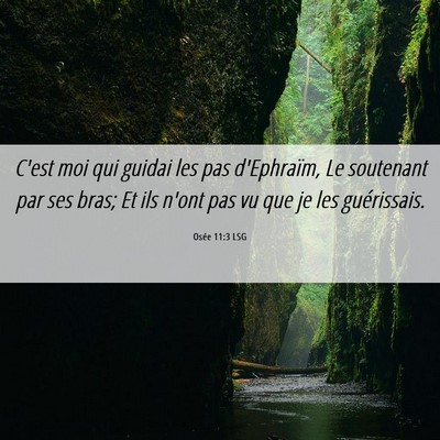 Picture 06 - Osée 11:3 LSG - C'est moi qui guidai les pas d'Ephraïm, Le - Bible Verse Picture