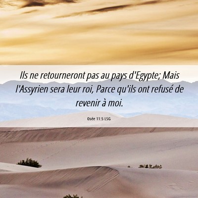 Picture 06 - Osée 11:5 LSG - Ils ne retourneront pas au pays d'Egypte; Mais - Bible Verse Picture