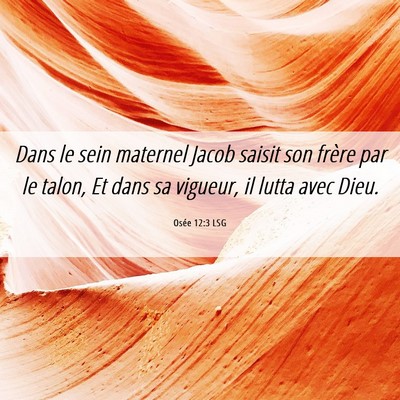 Picture 06 - Osée 12:3 LSG - Dans le sein maternel Jacob saisit son frère par - Bible Verse Picture