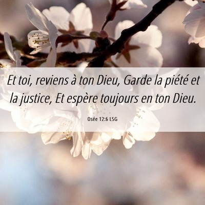 Picture 06 - Osée 12:6 LSG - Et toi, reviens à ton Dieu, Garde la piété et - Bible Verse Picture