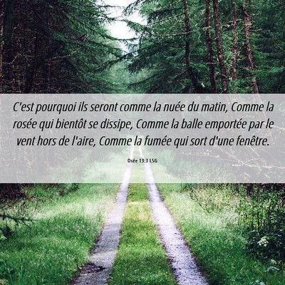 Picture 06 - Osée 13:3 LSG - C'est pourquoi ils seront comme la nuée du - Bible Verse Picture