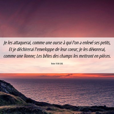 Picture 06 - Osée 13:8 LSG - Je les attaquerai, comme une ourse à qui l'on a - Bible Verse Picture