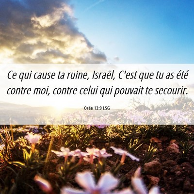 Picture 06 - Osée 13:9 LSG - Ce qui cause ta ruine, Israël, C'est que tu as - Bible Verse Picture