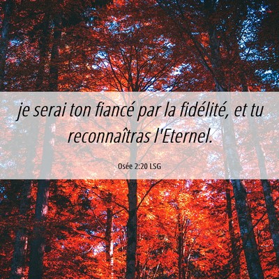 Picture 06 - Osée 2:20 LSG - je serai ton fiancé par la fidélité, et tu - Bible Verse Picture
