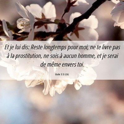 Picture 06 - Osée 3:3 LSG - Et je lui dis: Reste longtemps pour moi, ne te - Bible Verse Picture