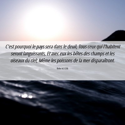 Picture 06 - Osée 4:3 LSG - C'est pourquoi le pays sera dans le deuil, Tous - Bible Verse Picture
