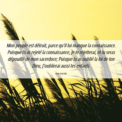 Picture 06 - Osée 4:6 LSG - Mon peuple est détruit, parce qu'il lui manque - Bible Verse Picture