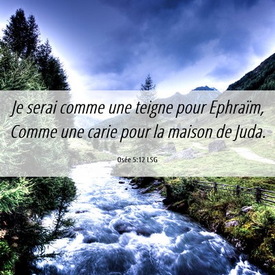 Picture 06 - Osée 5:12 LSG - Je serai comme une teigne pour Ephraïm, Comme - Bible Verse Picture