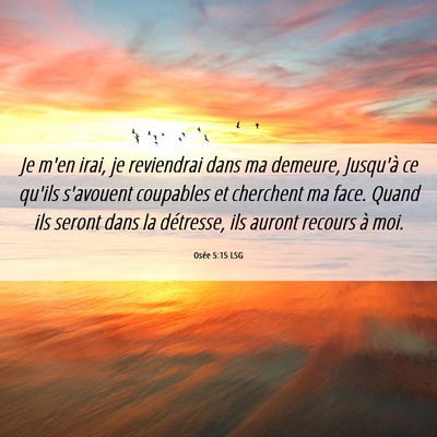 Picture 06 - Osée 5:15 LSG - Je m'en irai, je reviendrai dans ma demeure, - Bible Verse Picture