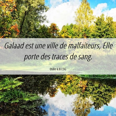 Picture 06 - Osée 6:8 LSG - Galaad est une ville de malfaiteurs, Elle porte - Bible Verse Picture