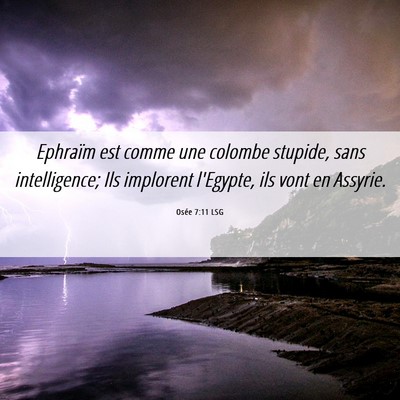 Picture 06 - Osée 7:11 LSG - Ephraïm est comme une colombe stupide, sans - Bible Verse Picture